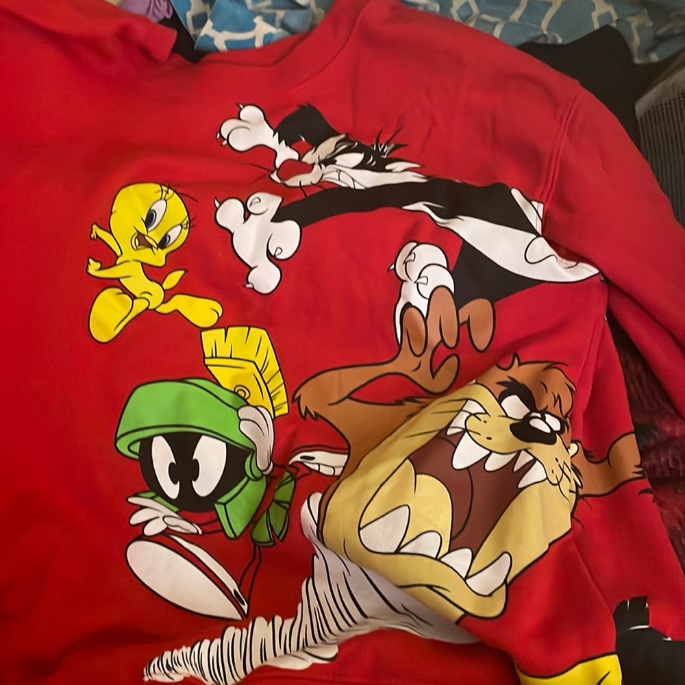 Looney tunes sweatshirt